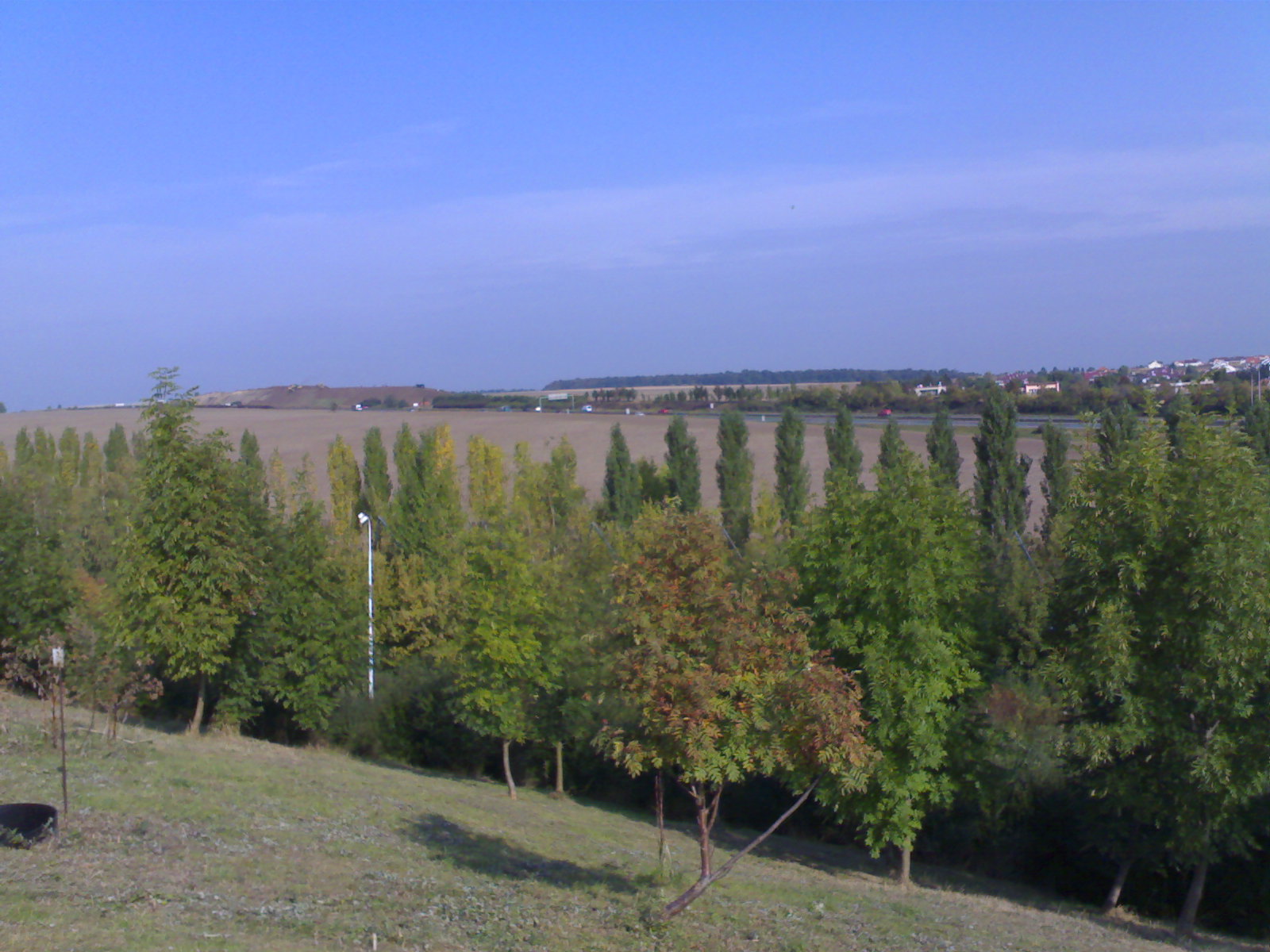 230920083190.jpg