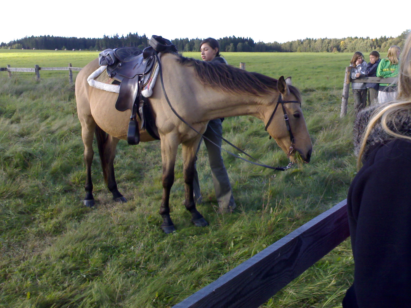 021020083337.jpg