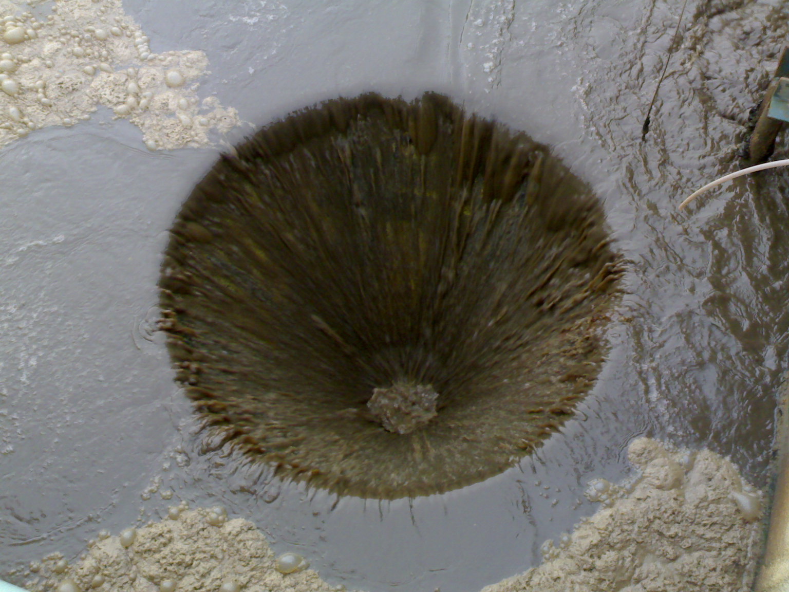 301020083376.jpg